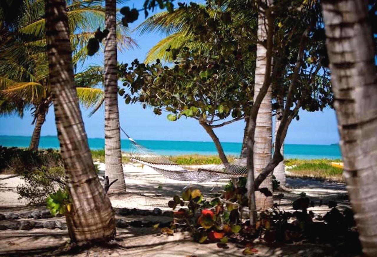 Kamalame Cay Hotel Staniard Creek Eksteriør billede